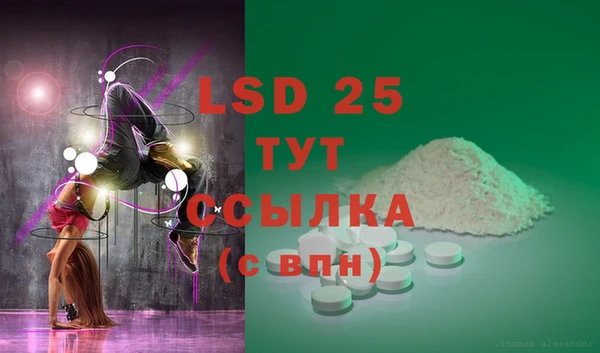 стаф Покачи