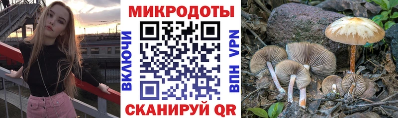 Галлюциногенные грибы прущие грибы закладка Бузулук