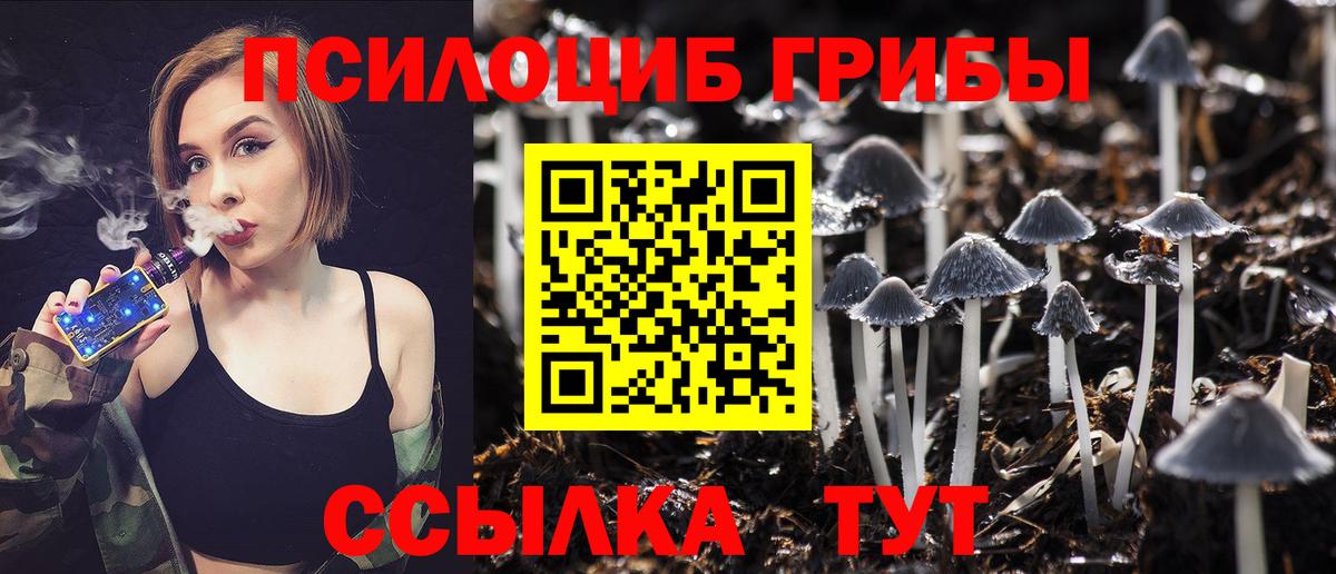 где купить   Бузулук  Псилоцибиновые грибы мухоморы 