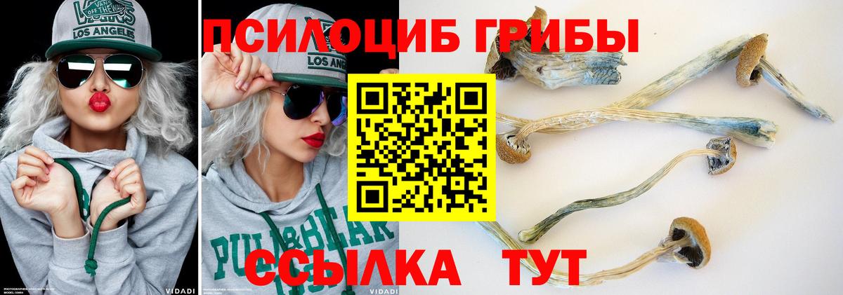 Галлюциногенные грибы Magic Shrooms Бузулук